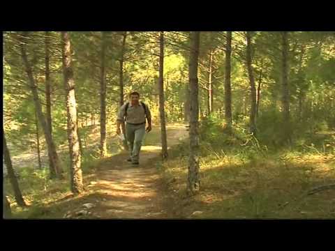 Espacios Naturales: El Cañon del Rio Lobos (Parte 2/2)