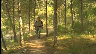 Espacios Naturales: El Cañon del Rio Lobos (Parte 2/2)