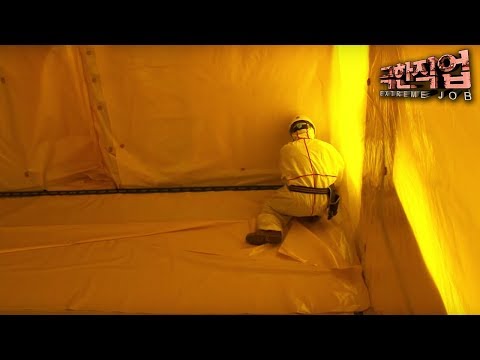 석면 - 나무위키