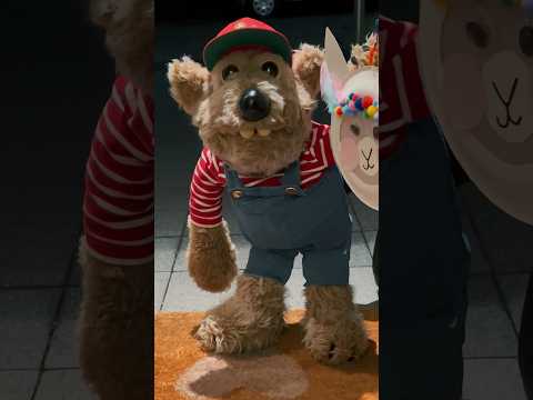 Otti und seine Laterne #bauernhof #martinslieder #lichterfest #dersingendebauernhof