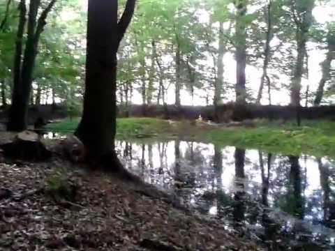 Tempelberg 2013.06.15 - thriller