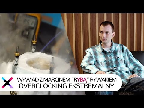 Anegdota mały kutas Dziewczynka uczy się ssać penisa