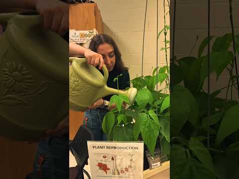 College Royal Bean Booth Recap Video