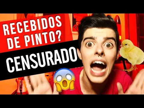 O QUE ME IRRITA NA INTERNET - Jean-Luca