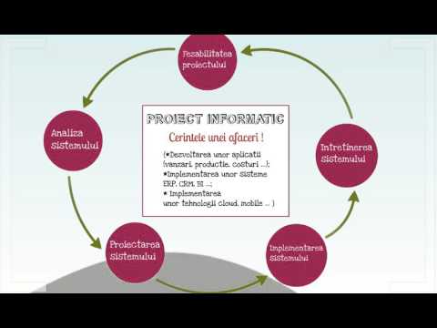 Prezentare Informatica Economica FEAA Timisoara