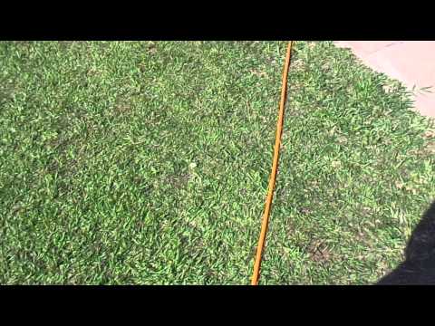 Clixê quebra recorde do salto em distância - InterUSP 2014