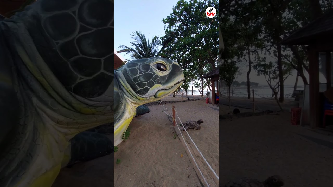 YouTube Short thumbnail