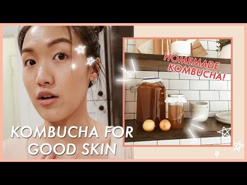 download lagu mp3 mp4 Kombucha Benefits Skin, download lagu Kombucha Benefits Skin gratis, unduh video klip Kombucha Benefits Skin