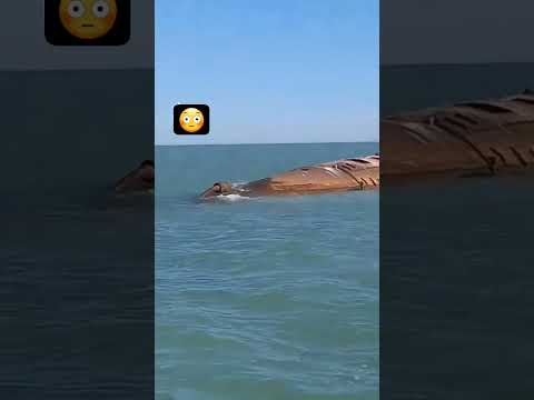 в Каспийском море затонувшее судно #обмеление #казахи #казахстан