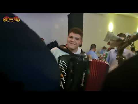 Orkestar Darka Antica LAVOVI - Aca Antic , Milan Strasni i Milos Markas dominiraju u Rači - Kolo