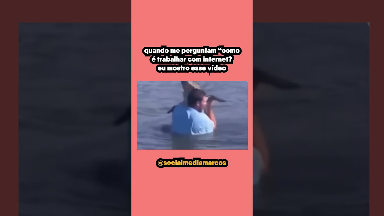 Quando me perguntam COMO É TRABALHAR COM A INTERNET, eu mostro esse vídeo #shorts