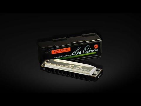Nota Mi 20 Voces Lee Oskar Melody Maker 1910MM//E ARMONICA BLUES