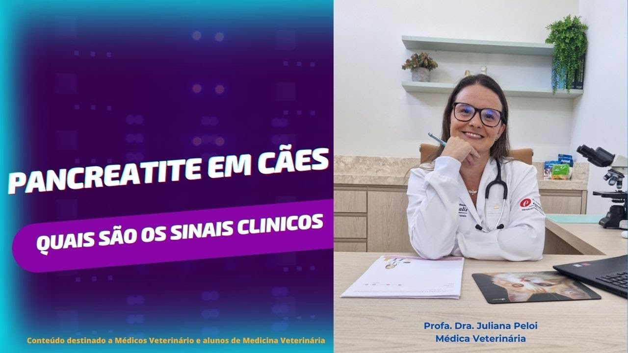 Quais são os sinais clínicos do cão com pancreatite