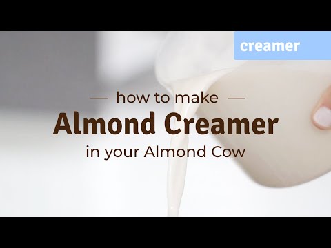 How To Make Creamer At Home In Your Almond Cow