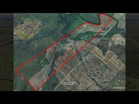 Vineyard for sale in Chile, Maule Valley, Cauquenes