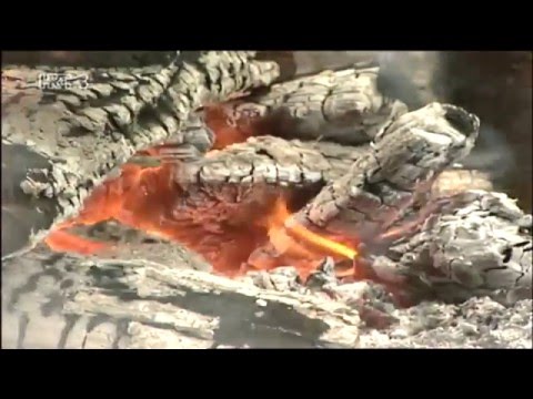 Treći element: Vatra