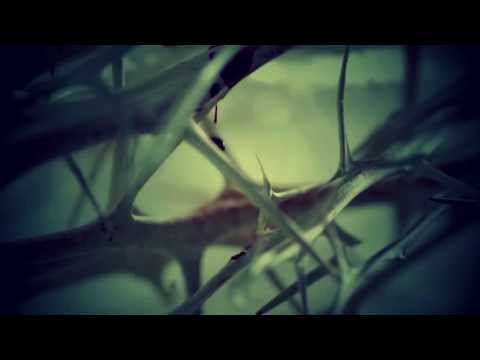 Lee Hi and B.A.P Zelo - Without You There's No Tomorrov MV