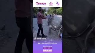 CMTIP: La cadena de Vivienda CMT