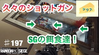 [FPS]レインボーシックスシージ実況#197～久々のショットガン～