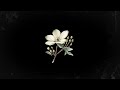 FREE Old School Boom Bap Type Beat PRECIO Underground Hip Hop Rap Instrumental Doz Beats