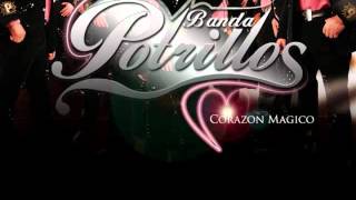 Banda Potrillos - El Herradero (Estudio)