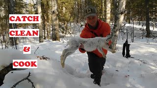Snowshoe Hare (Catch, Clean and Cook)