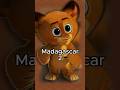 Você Percebeu Que No Filme Madagascar 2