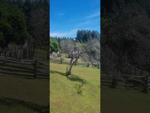NOÁ MATEOS disfrutando el #trekking en SIERRA COLORADA || #trevelin #chubut #patagonia || #viral