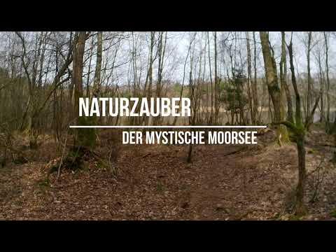Naturzauber - Der mystische Moorsee
