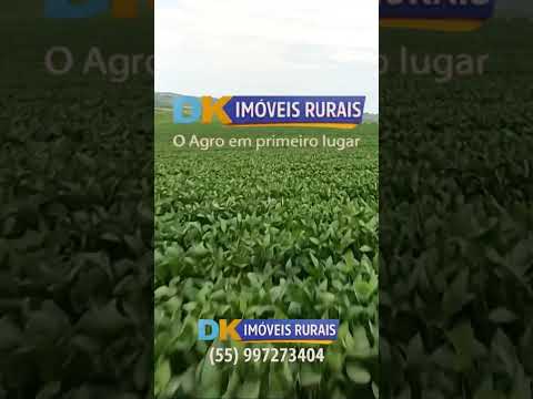 🚜 Fazendas à Venda e Arrendamento no RS | Oportunidades para Investidores e Produtores 🌾