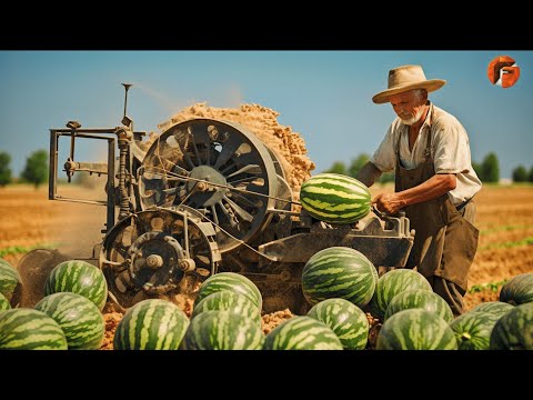 Farmers Use Agricultural Machines You Have Never Seen Before ▶4