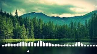 MIND OF THE KING  -  PROTOJE