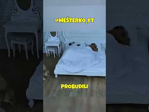 DEČAK JE IMAO NOĆNU MORU, ALI ONDA! #mesterko #recomended #viral #fyp