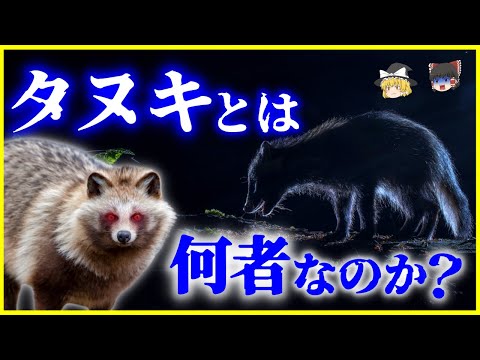 動物の象徴について詳しく解説
