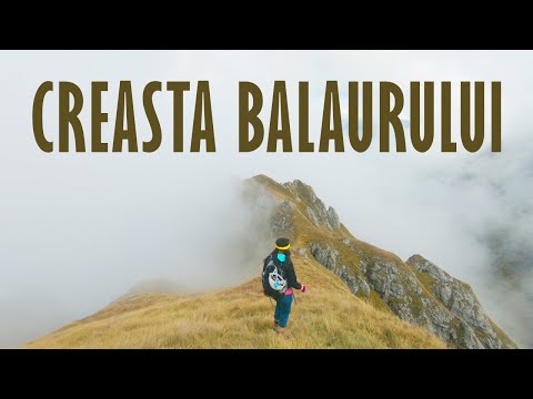 Valea Bucșoiului