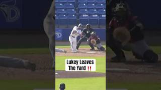 Nathan Lukes leaves the yard in his second rehab game for Dunedin ???? #MLB #BlueJays
