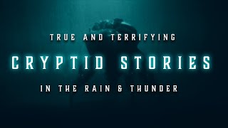 10 TRUE Paranormal Cryptid Stories from Reddit | True Scary Stories in the Rain | Raven Reads