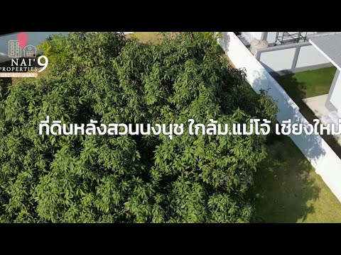 Land for sale behind Nong Nooch Garden, near Maejo University, Chiang Mai, เกษตรใหม่, Nong Harn, San Sai, Chiang Mai, , 780 sqm, Land For Sale, by หทัยรัตน์ จรัสอุไรสิน, 11876291 - DDproperty.com