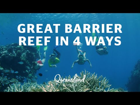 How to see the Great Barrier Reef in 4 ways