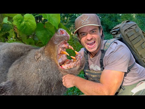 5 Days Hunting Giant Bear & Camping in Appalachia