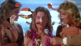 LOVE RULES Don Henley Fast Times at Ridgemont High