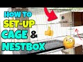 HOW TO SET UP CAGE & NESTBOX PROPERLY FOR YOUR LOVEBIRDS - Breeding Cage Setup for Lovebirds