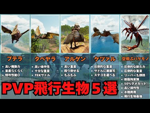 飛行(動物)について詳しく解説