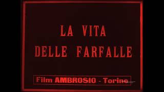 La vita delle farfalle (Roberto Omegna, 1911)
