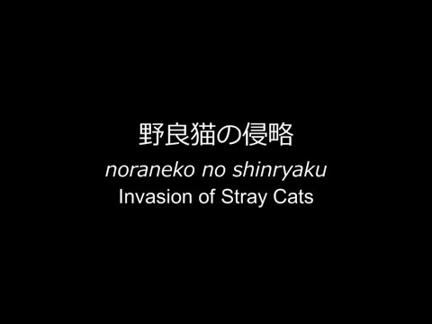 FujuniseikouyuuP - 野良猫の侵略(Invasion of Stray Cats)(English Translated/Lyrics)(Eng + Romaji Sub)