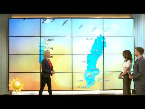 Helgvädret med Ulrika Andersson - Nyhetsmorgon (TV4)
