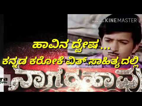 Havina Dwesha 12 Varusha