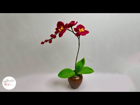 DIY Flower - How to make a Phalaenopsis orchids with Pipe cleaner ( chenille )#hmstation