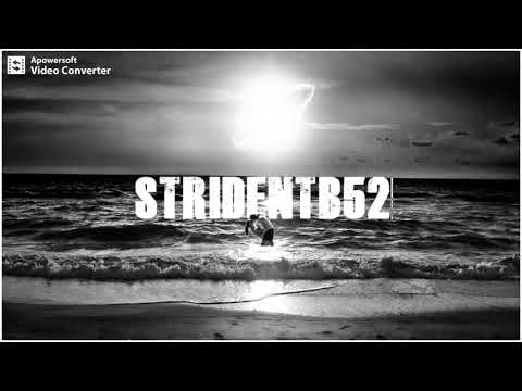 STRIDENTB52   ROYAL GIGOLOS MIXES 2006