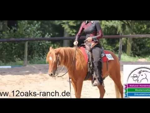 Trainingstipp #4 - Fliegende Galoppwechsel - Larissa coacht Janik - 12oaksTV